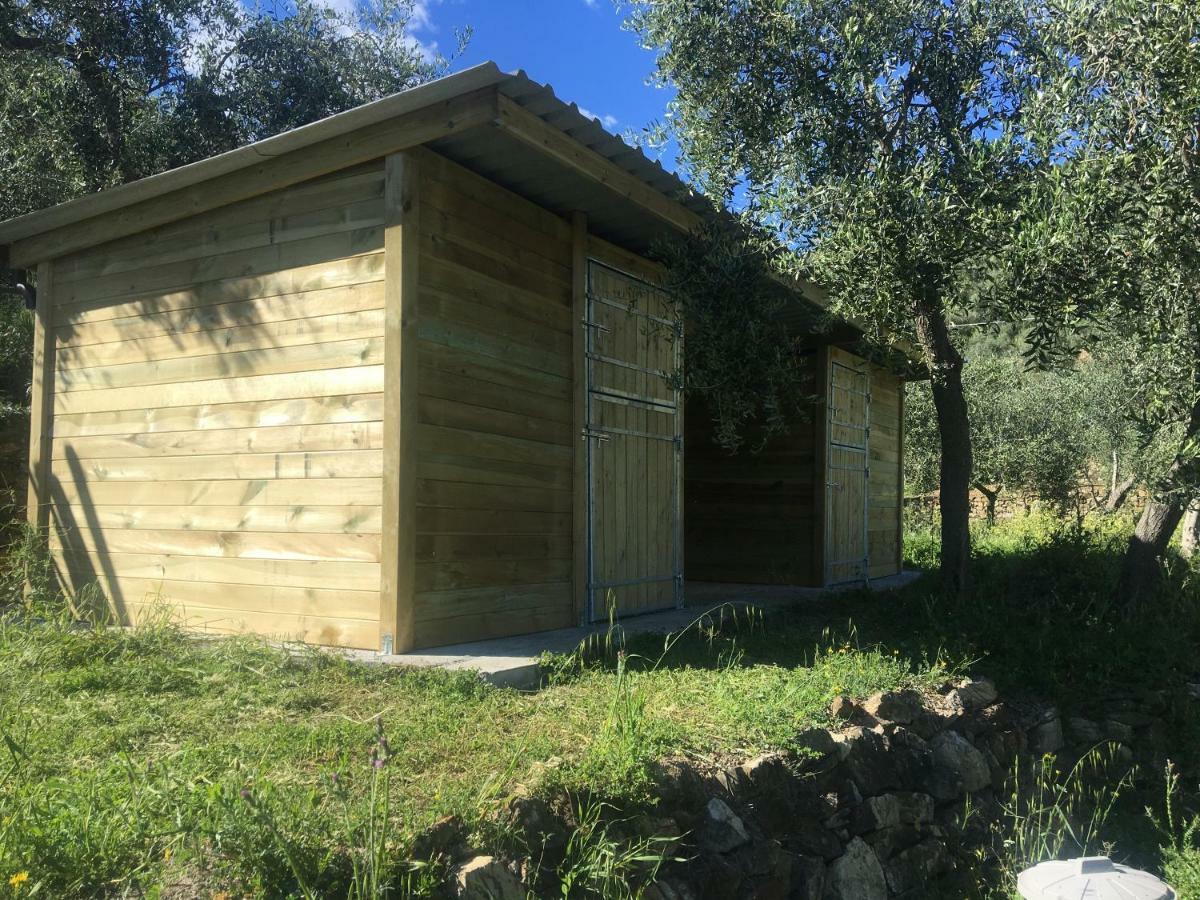 Agriturismo Oltrealmare Civezza Exterior photo
